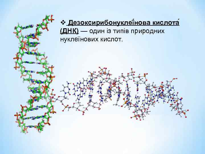 v Дезоксирибонуклеї нова кислота (ДНК) — один із типів природних нуклеїнових кислот. 