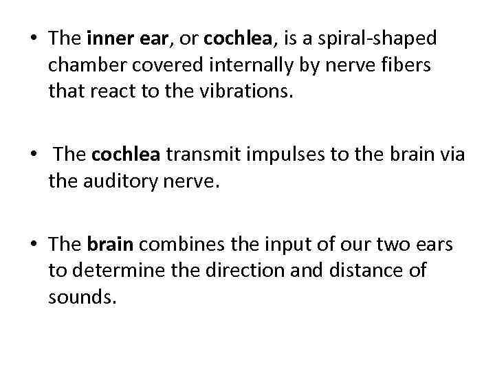  • The inner ear, or cochlea, is a spiral-shaped chamber covered internally by