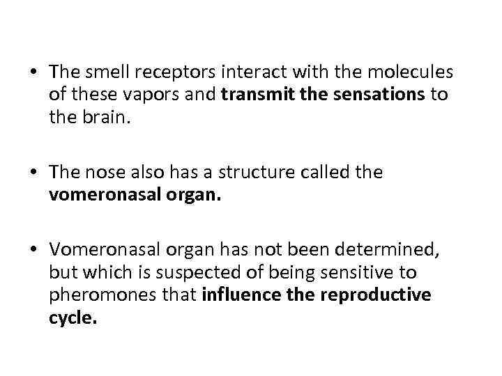  • The smell receptors interact with the molecules of these vapors and transmit