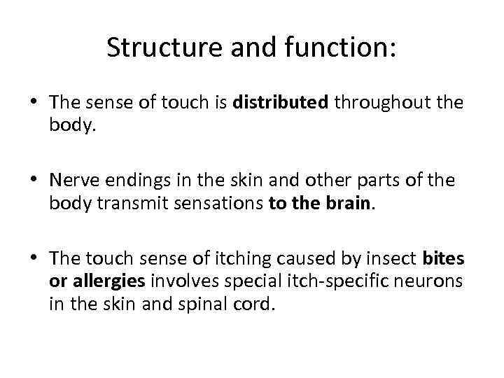 Structure and function: • The sense of touch is distributed throughout the body. •