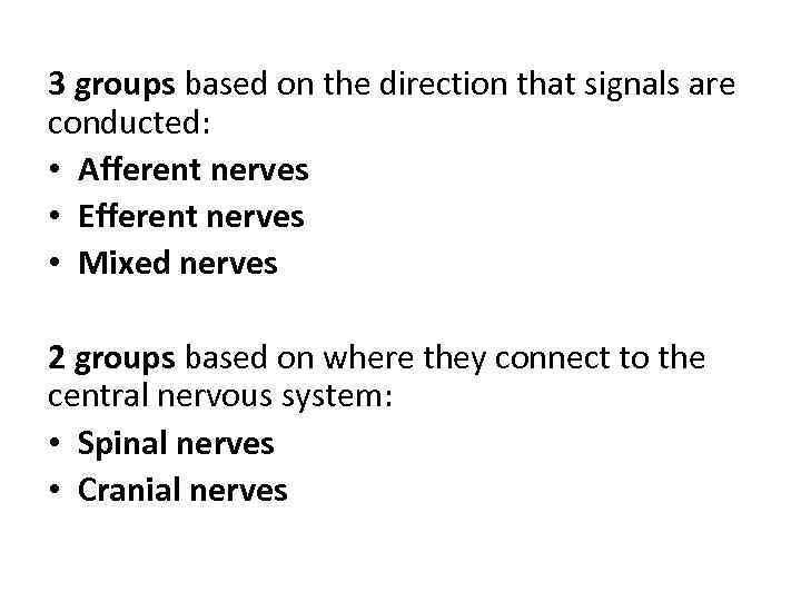 3 groups based on the direction that signals are conducted: • Afferent nerves •
