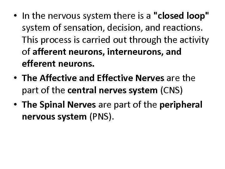  • In the nervous system there is a 