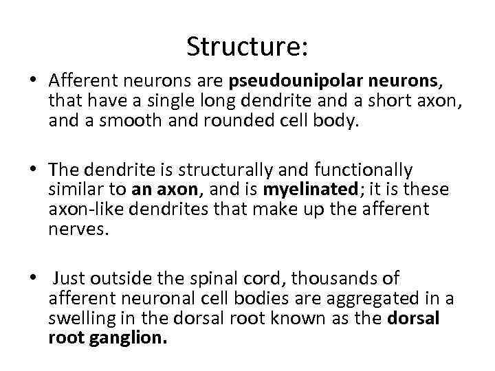 Structure: • Afferent neurons are pseudounipolar neurons, that have a single long dendrite and