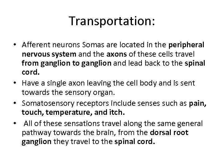 Transportation: • Afferent neurons Somas are located in the peripheral nervous system and the