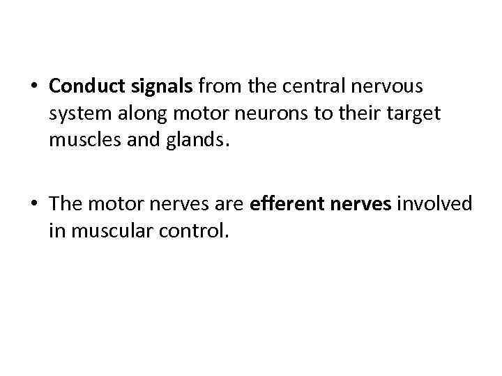  • Conduct signals from the central nervous system along motor neurons to their