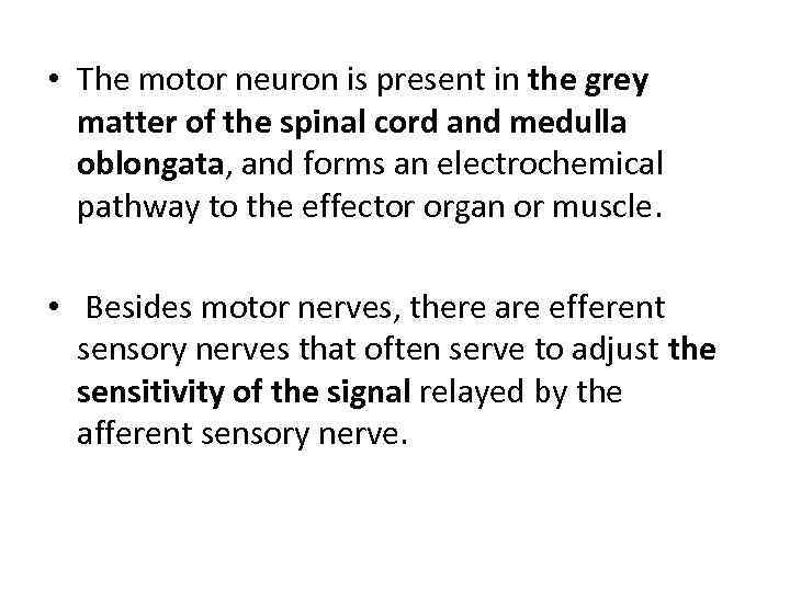  • The motor neuron is present in the grey matter of the spinal