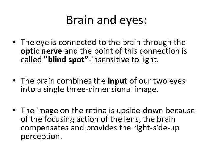 Brain and eyes: • The eye is connected to the brain through the optic