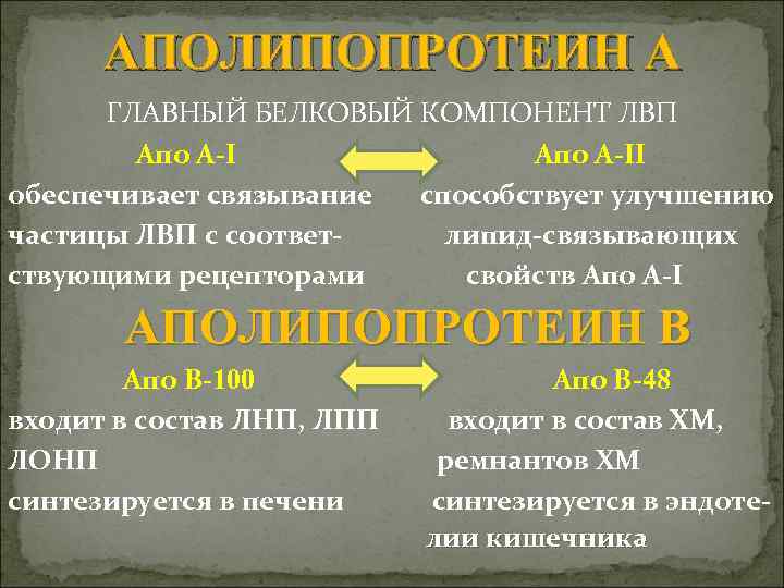 АПОЛИПОПРОТЕИН А ГЛАВНЫЙ БЕЛКОВЫЙ КОМПОНЕНТ ЛВП Апо А-II обеспечивает связывание способствует улучшению частицы ЛВП