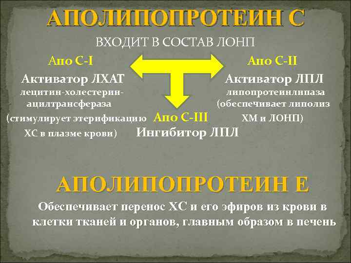 АПОЛИПОПРОТЕИН С ВХОДИТ В СОСТАВ ЛОНП Апо С-II Активатор ЛХАТ Активатор ЛПЛ лецитин-холестеринацилтрансфераза (стимулирует