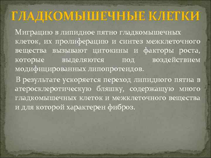 ГЛАДКОМЫШЕЧНЫЕ КЛЕТКИ Миграцию в липидное пятно гладкомышечных клеток, их пролиферацию и синтез межклеточного вещества