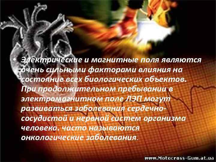  • Электрические и магнитные поля являются очень сильными факторами влияния на состояние всех