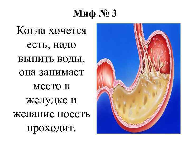 Миф № 3 Когда хочется есть, надо выпить воды, она занимает место в желудке