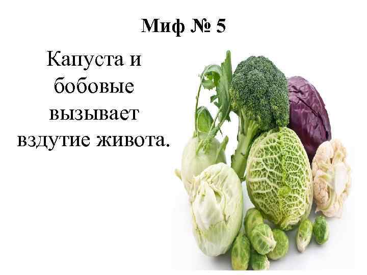 Миф № 5 Капуста и бобовые вызывает вздутие живота. 