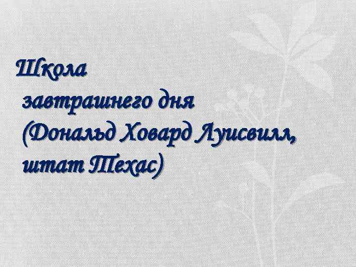 Школа завтрашнего дня (Дональд Ховард Луисвилл, штат Техас) 