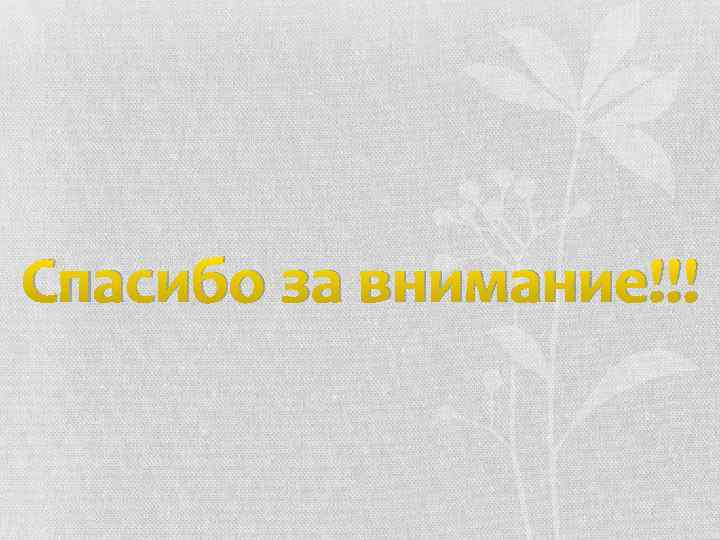 Спасибо за внимание!!! 