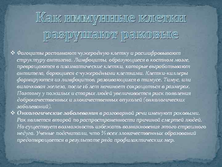 Как иммунные клетки разрушают раковые v Фагоциты распознают чужеродную клетку и расшифровывают структуру антигена.