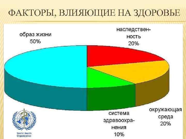 ФАКТОРЫ, ВЛИЯЮЩИЕ НА ЗДОРОВЬЕ 