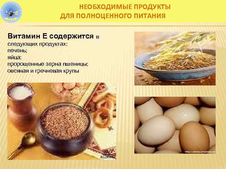 НЕОБХОДИМЫЕ ПРОДУКТЫ ДЛЯ ПОЛНОЦЕННОГО ПИТАНИЯ Витамин Е содержится в следующих продуктах: печень; яйца; пророщенные