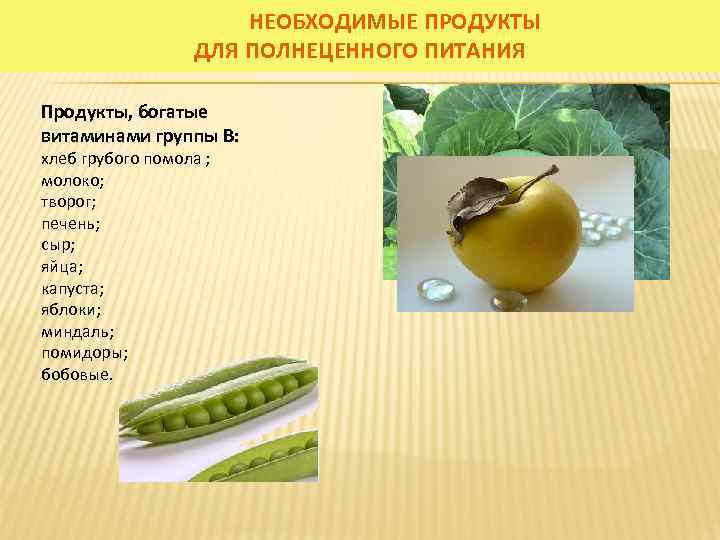 НЕОБХОДИМЫЕ ПРОДУКТЫ ДЛЯ ПОЛНЕЦЕННОГО ПИТАНИЯ Продукты, богатые витаминами группы В: хлеб грубого помола ;