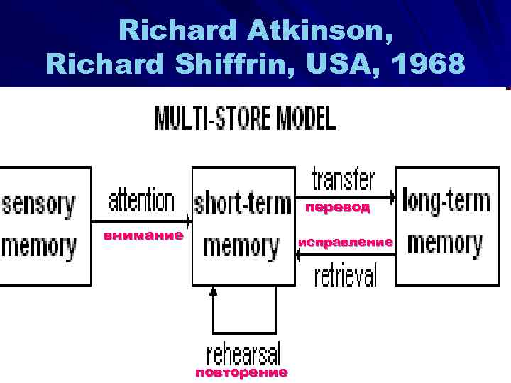 Richard Atkinson, Richard Shiffrin, USA, 1968 перевод внимание исправление повторение 