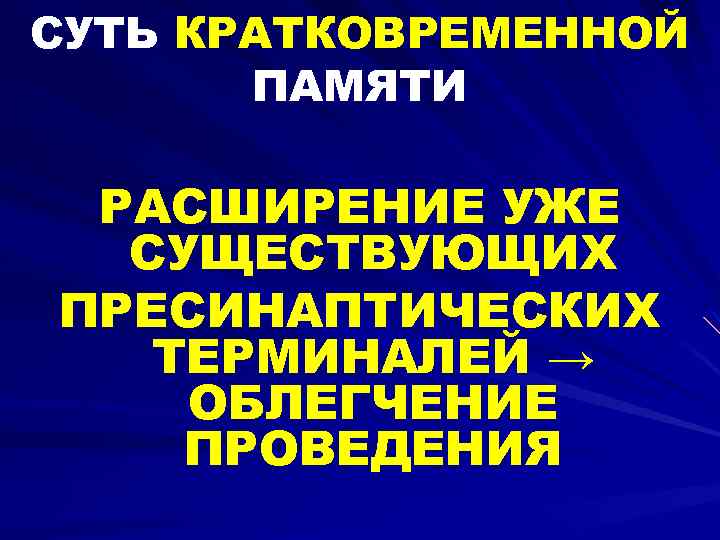 СУТЬ КРАТКОВРЕМЕННОЙ ПАМЯТИ РАСШИРЕНИЕ УЖЕ СУЩЕСТВУЮЩИХ ПРЕСИНАПТИЧЕСКИХ ТЕРМИНАЛЕЙ → ОБЛЕГЧЕНИЕ ПРОВЕДЕНИЯ 