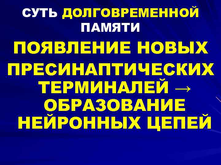 СУТЬ ДОЛГОВРЕМЕННОЙ ПАМЯТИ ПОЯВЛЕНИЕ НОВЫХ ПРЕСИНАПТИЧЕСКИХ ТЕРМИНАЛЕЙ → ОБРАЗОВАНИЕ НЕЙРОННЫХ ЦЕПЕЙ 