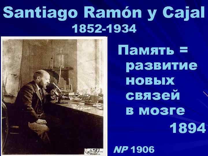 Santiago Ramón y Cajal 1852 -1934 Память = развитие новых связей в мозге 1894