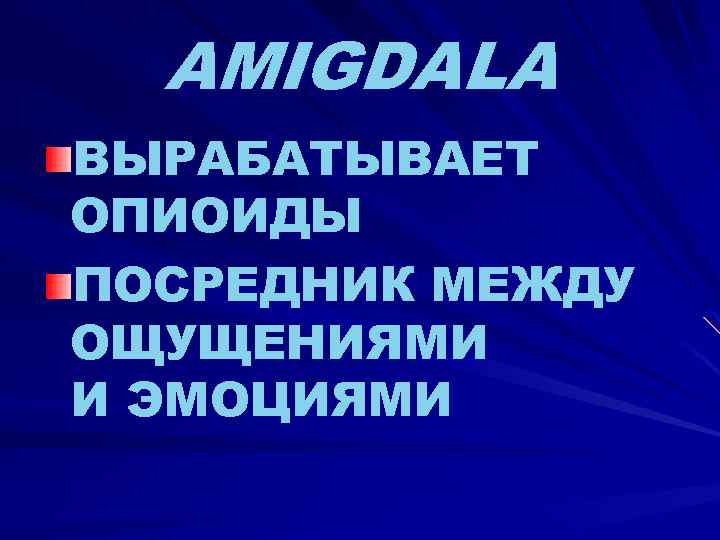 AMIGDALA ВЫРАБАТЫВАЕТ ОПИОИДЫ ПОСРЕДНИК МЕЖДУ ОЩУЩЕНИЯМИ И ЭМОЦИЯМИ 