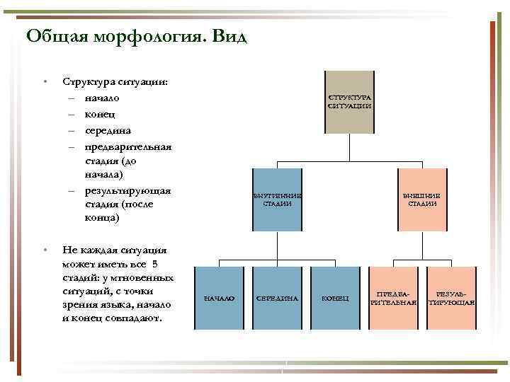 Морфология образцов это