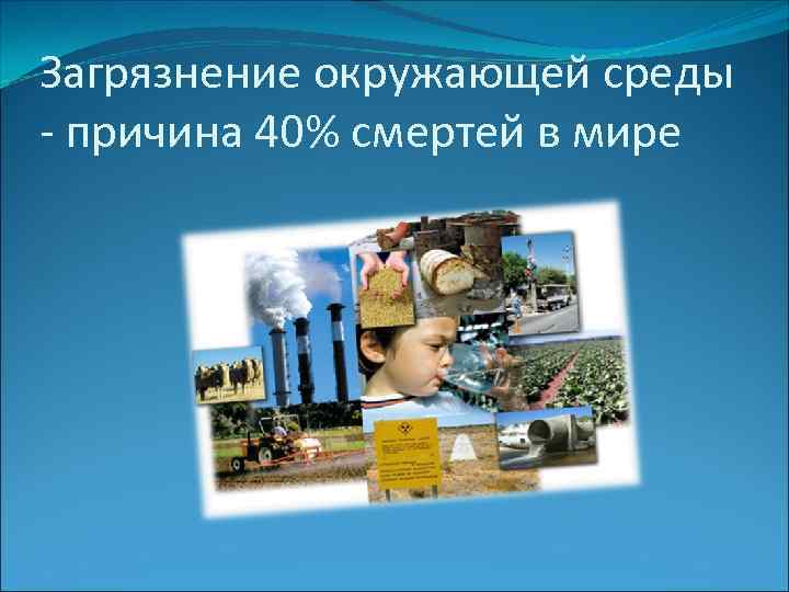 Загрязнение окружающей среды - причина 40% смертей в мире 