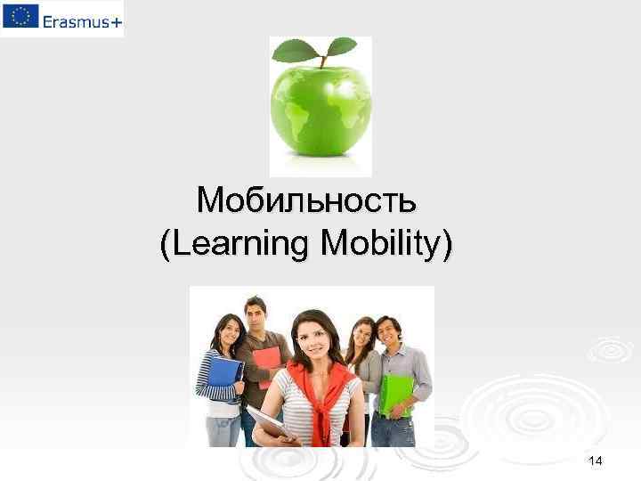 Мобильность (Learning Mobility) 14 