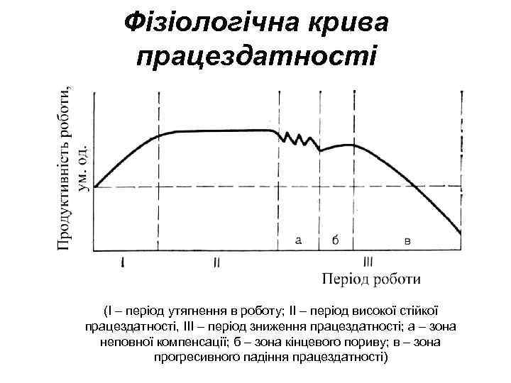Фізіологічна крива працездатності (I – період утягнення в роботу; II – період високої стійкої