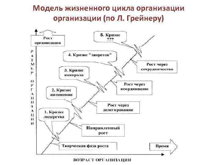 Модель жизненного цикла организации (по Л. Грейнеру) 