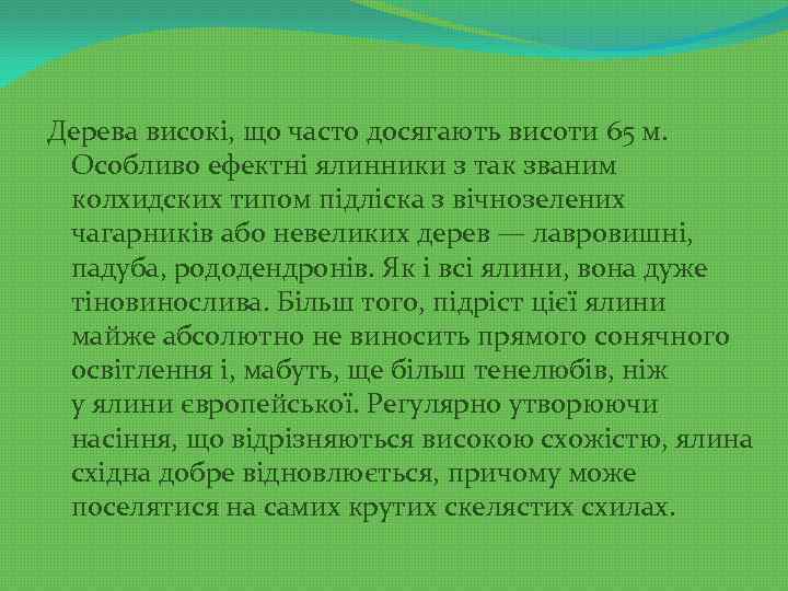 Дерева високі, що часто досягають висоти 65 м. Особливо ефектні ялинники з так званим