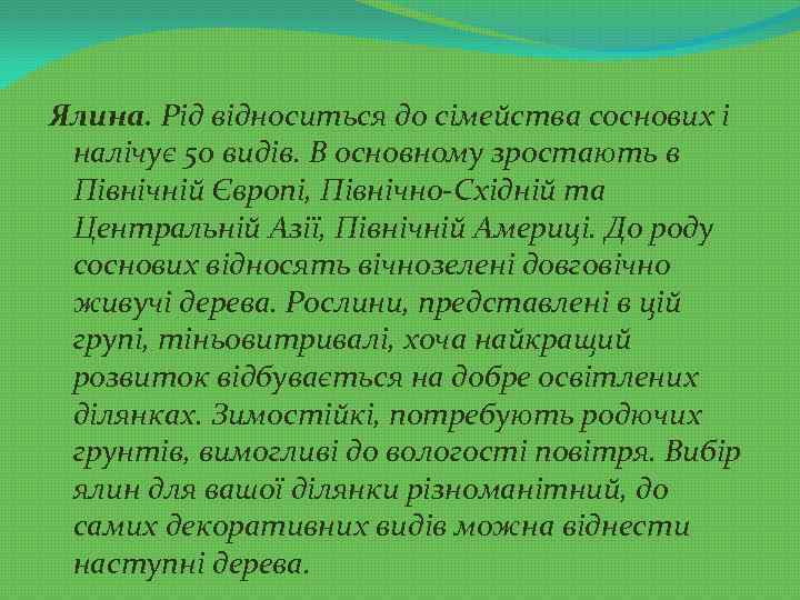 Ялина. Рід відноситься до сімейства соснових і налічує 50 видів. В основному зростають в
