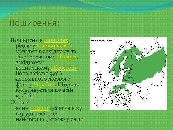 Поширення: Поширена в Карпатах, рідше у Прикарпатті, місцями в західному та лівобережному Поліссі, західному