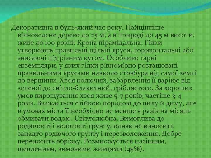 Декоративна в будь-який час року. Найцінніше вічнозелене дерево до 25 м, а в природі
