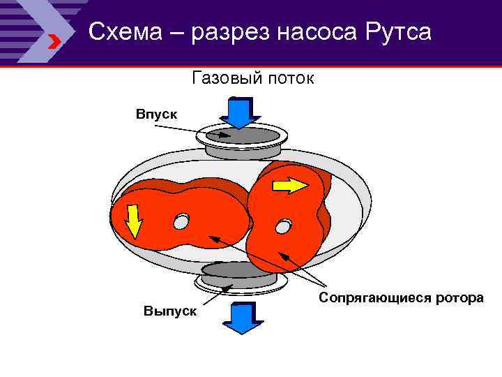 Схема – разрез насоса Рутса Газовый поток Впуск Выпуск Сопрягающиеся ротора 