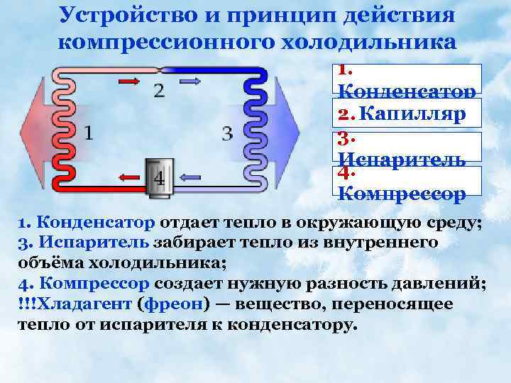 Устройство и принцип действия компрессионного холодильника 1. Конденсатор 2. Капилляр 3. Испаритель 4. Компрессор