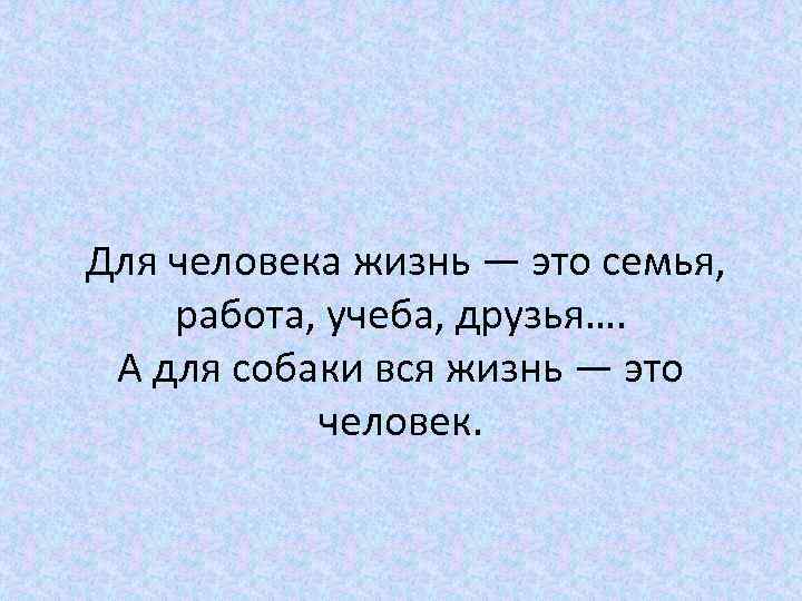  Для человека жизнь — это семья, работа, учеба, друзья…. А для собаки вся