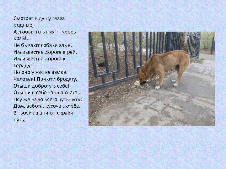 Смотрят в душу глаза родные, А любви-то в них — через край!. . .