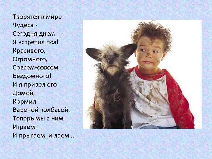 Творятся в мире Чудеса Сегодня днем Я встретил пса! Красивого, Огромного, Совсем-совсем Бездомного! И