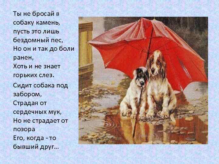 Ты не бросай в собаку камень, пусть это лишь бездомный пес, Но он и