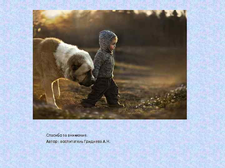 Спасибо за внимание. Автор : воспитатель Гриднева А. Н. 