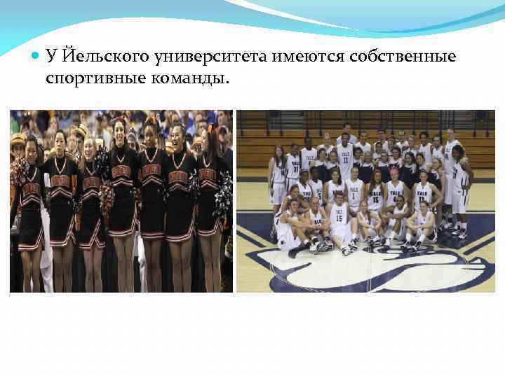  У Йельского университета имеются собственные спортивные команды. 