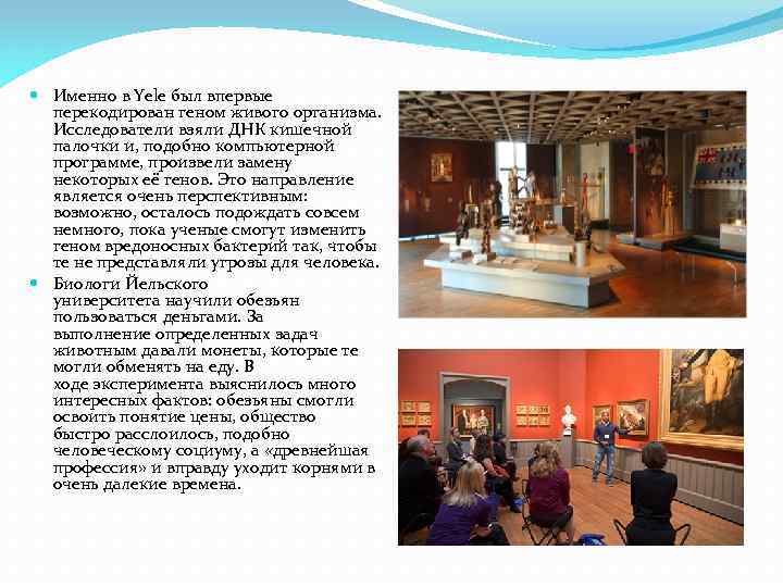  Именно в Yele был впервые перекодирован геном живого организма. Исследователи взяли ДНК кишечной