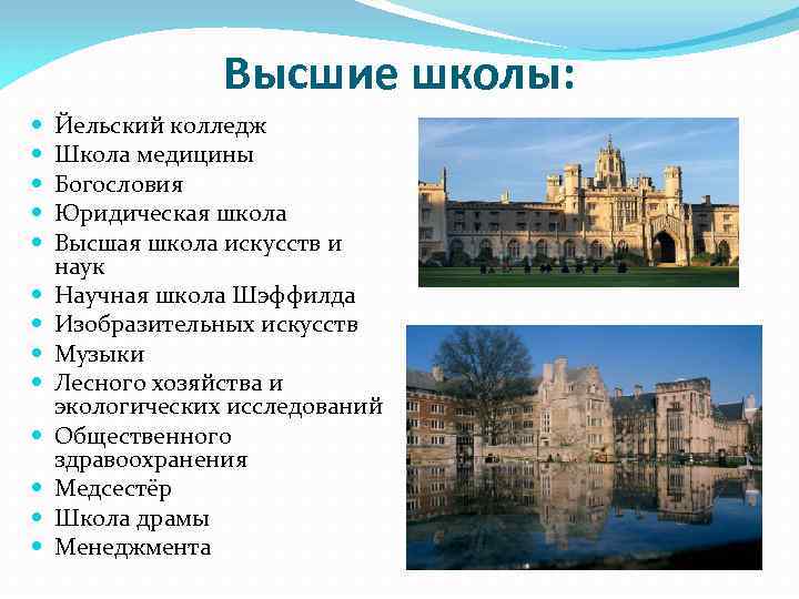 Высшие школы: Йельский колледж Школа медицины Богословия Юридическая школа Высшая школа искусств и наук