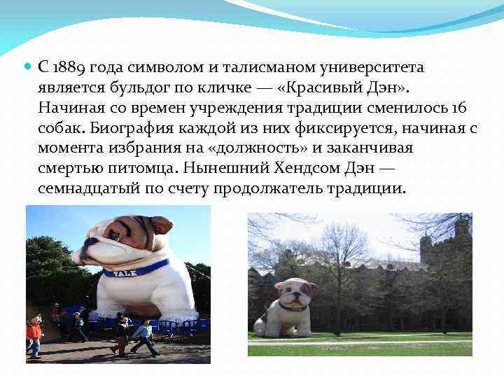  С 1889 года символом и талисманом университета является бульдог по кличке — «Красивый