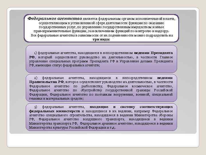 Федеральное агентство является федеральным органом исполнительной власти, осуществляющим в установленной сфере деятельности функции по