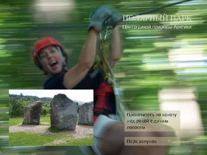 ПОЛЯРНЫЙ ПАРК Центр дикой природы Арктики Прокатитесь по канату над рекой с диким лососем